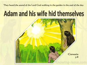 Genesis 3:8